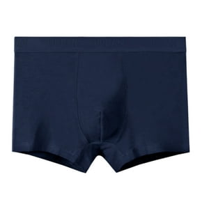 Leak Proof Mens Underwear