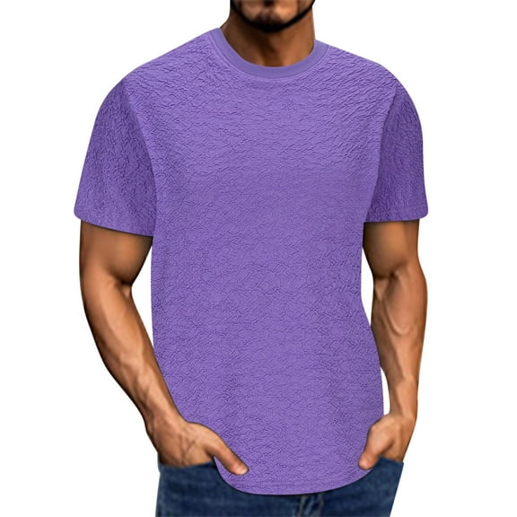 JUUYY Men's T-Shirt Textured Short Sleeve Crew Neck Casual Solid Color Comfortable Loose Fit Versatile Lightweight Summer Tee Tops Purple XL