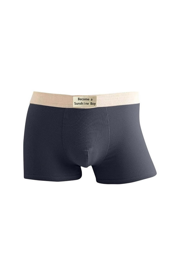 Organic Cotton Mens Boxer Briefs Anti-Chafing Moisture-Wicking Cooling Underwear for Sports & Daily Wear Blue L