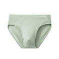 thumbnail image 1 of JUUYY Ultra-Comfort Mens' Briefs Underwear – Breathable Bamboo Cotton Briefs – Soft, Stretchy & Durable Green L, 1 of 3