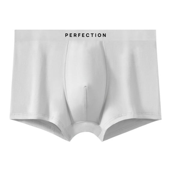 JUUYY Washable Absorbent Urinary Incontinence Underwear for Men, Regular Boxer Briefs for Moderate Bladder Leaks 60ML White XL