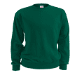 thumbnail image 1 of JUV CREW 9OZ FLEECE-J9001,J9001,DK GREEN,S, 1 of 1