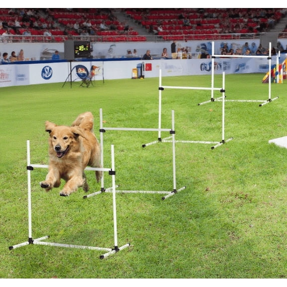 JUYG Dog Agility Training Equipment, Course Set
