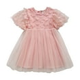thumbnail image 1 of JUoaLXG Baby Girls Casual Dresses Summer Mesh Solid Color Butterfly Print Crew Neck Short Sleevele Dance Party Sundress Streetwear,Pink,6-12 Months, 1 of 4