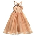 thumbnail image 1 of JUoaLXG Baby Girls Casual Dresses Summer Mesh Solid Color Suspenders Sleeveless Dance Party Sundress Outwear,Brown,6-12 Months, 1 of 4