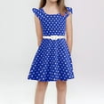 thumbnail image 1 of JUoaLXG Toddler Girls Casual Dresses Summer Party Sleeveless Gown Kid Dots Print Floral Children Dress Activewear,Blue,4-5 Years, 1 of 7