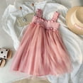 thumbnail image 1 of JUoaLXG Toddler Girls Casual Dresses Summer Sleeveless Mesh Lace Party Dance Party Dress Streetwear,Pink,3-4 Years, 1 of 4