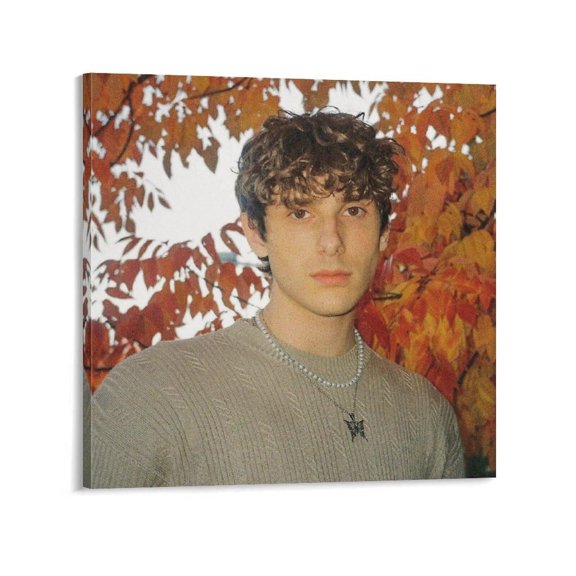 JVKE Poster 48 Wall Art Poster Scroll Canvas Painting Picture Living Room Decor Home