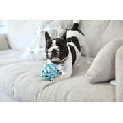 JW HOL-ee Roller  Tug and Fetch Treat Dispenser Puzzle Ball Dog Toy, Natural Rubber, Small 3" for Small Dogs up to 20 lb, Blue, Pack of 1