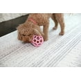 thumbnail image 1 of JW HOL-ee Roller™ Tug and Fetch Treat Dispenser Puzzle Ball Dog Toy, Natural Rubber, Small 3" for Small Dogs up to 20 lb, Pink, Pack of 1, 1 of 8