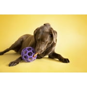 JW Hol-ee Roller Rubber Dog Ball Puzzle Toy, Large 5.5" for Dogs 60 to 90 lb, Pack of 1, Assorted Colors