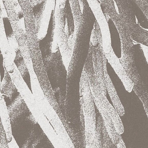 JW Paton - Structures - Music & Performance - CD