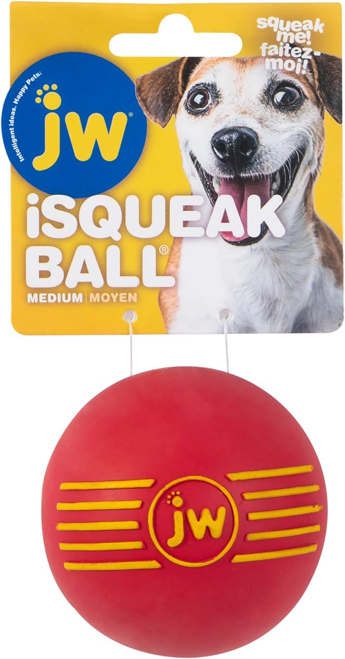 JW iSqueak Ball Durable Natural Rubber Dog Toy (Assorted Colors