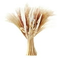 thumbnail image 1 of JWDX Artificial Flowers Clearance! 65Pcs Pampas Grass Reed Dried Flowers, Dried Flowers 65 45Cm Fluffy Exaggerated Grass Flower Arrangement Boho Family Wedding Decoration Beige, 1 of 7