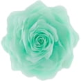 thumbnail image 1 of JWH 3D Decorative Soft Round Gauze Rose Flower Throw Pillows for Sofa Bedding 12 inch Mint Green, 1 of 8