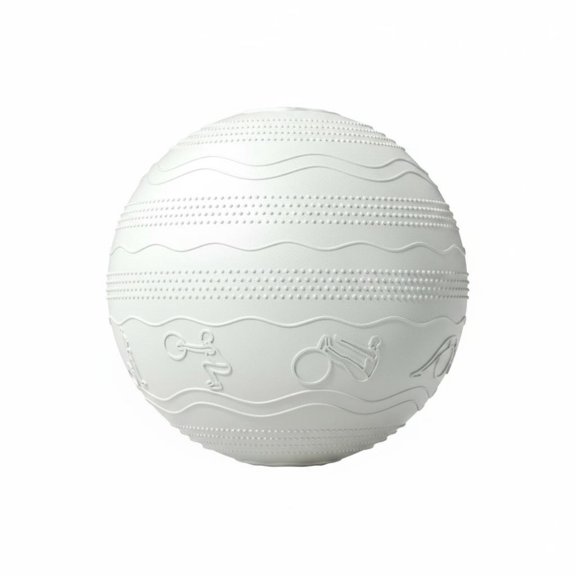 JWQFBC Birthing Ball Anti-Rupture Exercise Ball Easy to Inflate Exercise Equipment for Physical