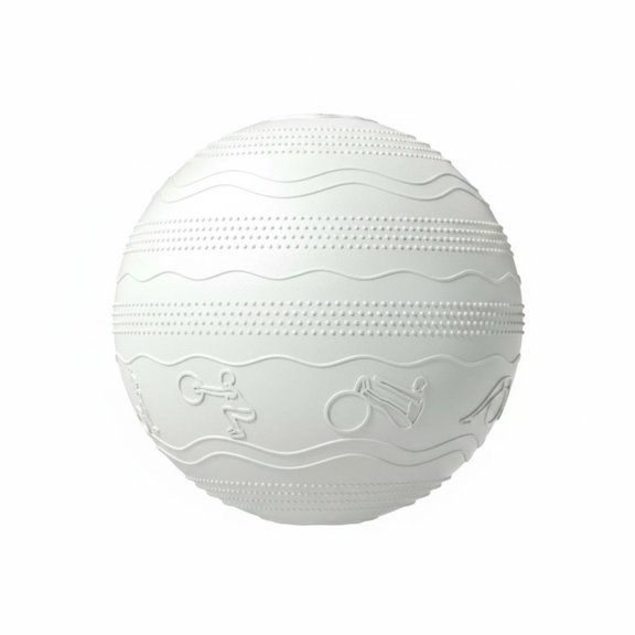 JWQFBC Birthing Ball Anti-Rupture Exercise Ball Easy to Inflate Exercise Equipment for Physical