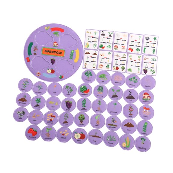 JWQFBC Food Chain Party Favors Science Kits Life Cycle Kit Food Web Animal Learning for Purple