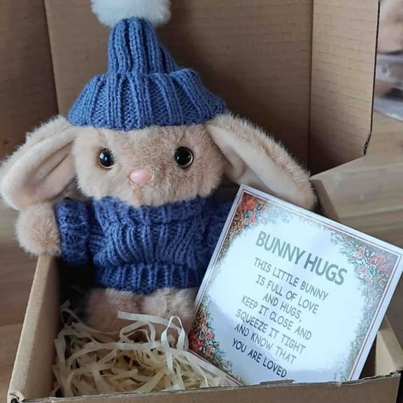 JWZZYD Handmade Mini Bunny Hugs in a Box, Soft Plush Rabbit with Positive Card, Emotional Support Pocket Bunny for Easter Gifting, Inspirational Gift for Women & Men, Blue