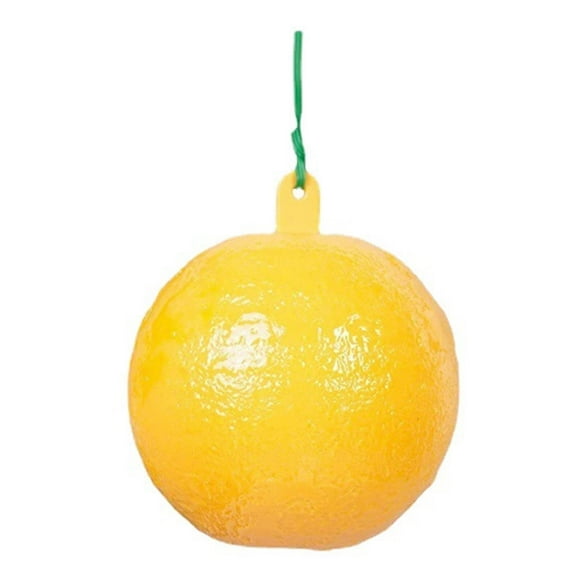 JWshufel Reusable Outdoor Insect Trap Fruit Fly Wasp Bee Hornet Petcher Safe Eco Friendly Bait Weather Resistant Long Lasting Design for Garden Farm Home Use