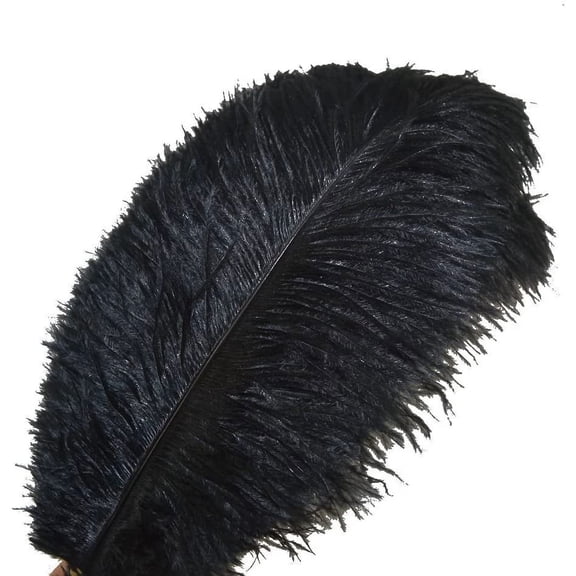 JYNOFD 30-35Cm Ostrich Craft Feathers (10 Pack)