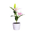 thumbnail image 1 of JYYYBF Solar LED Garden Lights Waterproof Potted Plant Lights with 2 Lily Flowers Yard Lamp for Landscape Outdoor Decorations, 1 of 7