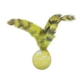 thumbnail image 1 of JZCHUNTOY Indoor Interactive Bouncy Ball Toy - Ideal for Teething, Play & Hunting Fun, 1 of 9