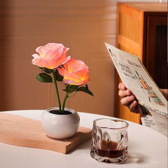 JZCHUNTOY Rose Eternal Flower Night Light USB Powered, Preserved Rose Decorative Lamp with Soft Illumination, Bedroom Desk Decor for Home Office Living Room