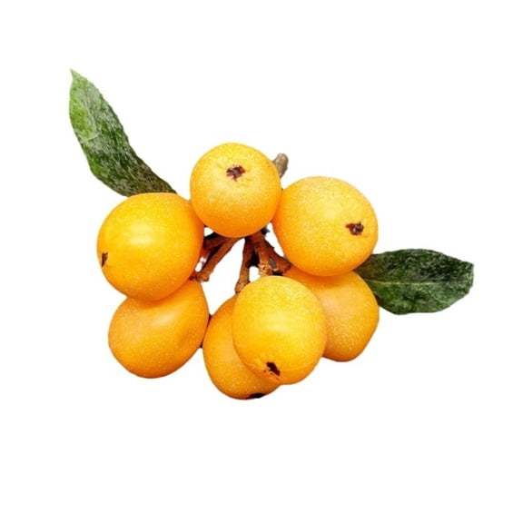 JZROCKER Artificial Simulation Loquat Fake Fruit Home Kitchens Cabinet Decoration Gifts