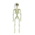 thumbnail image 1 of JZROCKER CreepySkeleton Figurine Miniature Skeleton Models with Rope for Haunted House For Halloween, 1 of 11