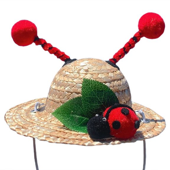 JZROCKER Dog Outdoor Straw Hat Puppy Small Cats Sunhats Dog Hat Novelty Dog Hat for Fashion Pooches