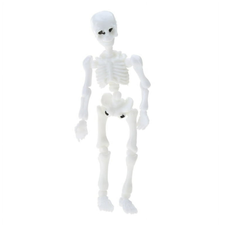 JZROCKER Movable Mr. Bones Skeleton Human Model Skull Full