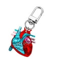 thumbnail image 1 of JZROCKER Portable Human Organs Keychain Heart Anatomy Keychain Lightweight Key Rings Accessory for Healthcare Workers, 1 of 12