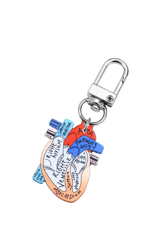 Portable Human Organs Keychain Heart Anatomy Keychain Lightweight Key Rings Accessory for Healthcare Workers