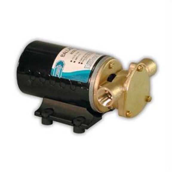 Jabsco Wakeboard Ballast Puppy with Reversing Switch - 12v -