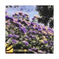 thumbnail image 1 of Jacaranda in Bloom - Canvas, 1 of 10