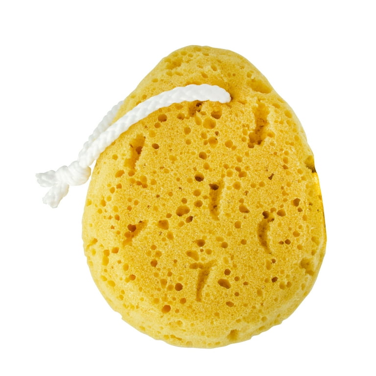 Jacent Deep Cleaning Foam Body Sponge for Bath and Shower: Soft Loofah Body  Scrubber for Adults