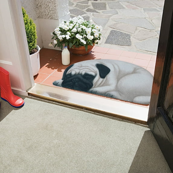 Jacenvly Door Mats/Outdoor Welcome Mats 3D Cute Pet Dog Themed Carpet Welcome Floor Doormat Non Slip Floor Mat Holiday Funny Novelty Door Mats Indoor Outdoor Decor Home Decor