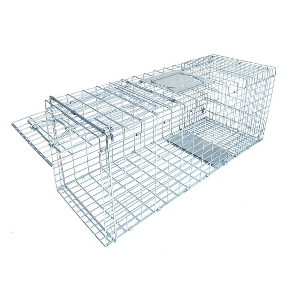 Jacgood 31x11x13 in Animal Trap Heavy Duty Live Animal Cage Trap, Collapsible Design with Carry Handle for Rabbits, Feral Cats, Squirrels, Raccoons