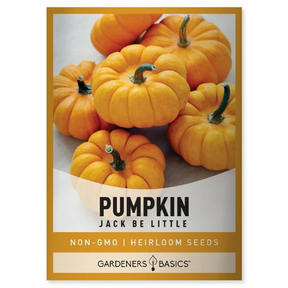 Jack Be Little Pumpkin Seeds