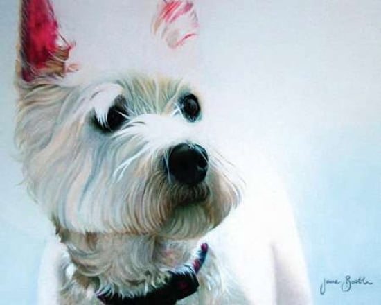 Jack Canvas Art - Jane Booth (24 x 30)