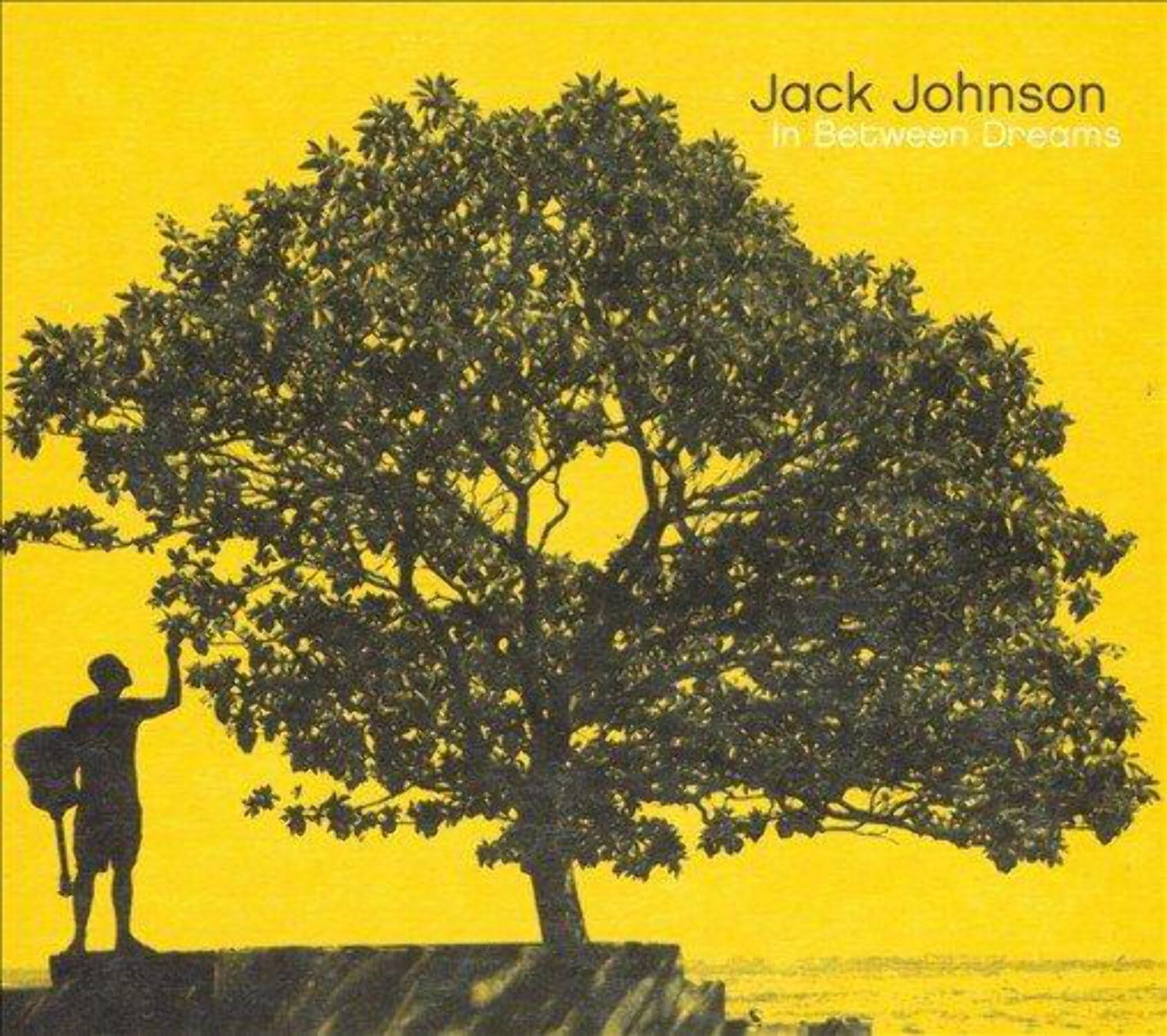 Jack Johnson - In Between Dreams - Music & Performance - Vinyl