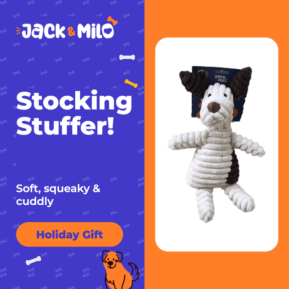 Jack & Milo Plush Squeaky Dog Toy, White Dog, Soft Chewable Puppy Toy, Dog Stocking Stuffer and Christmas Gift