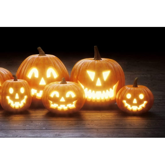 Jack O' Lantern Pumpkin Seeds for Planting - 20 Seeds - Grow Medium Sized Symmetrical Pumpkins for Carving Pumpkins