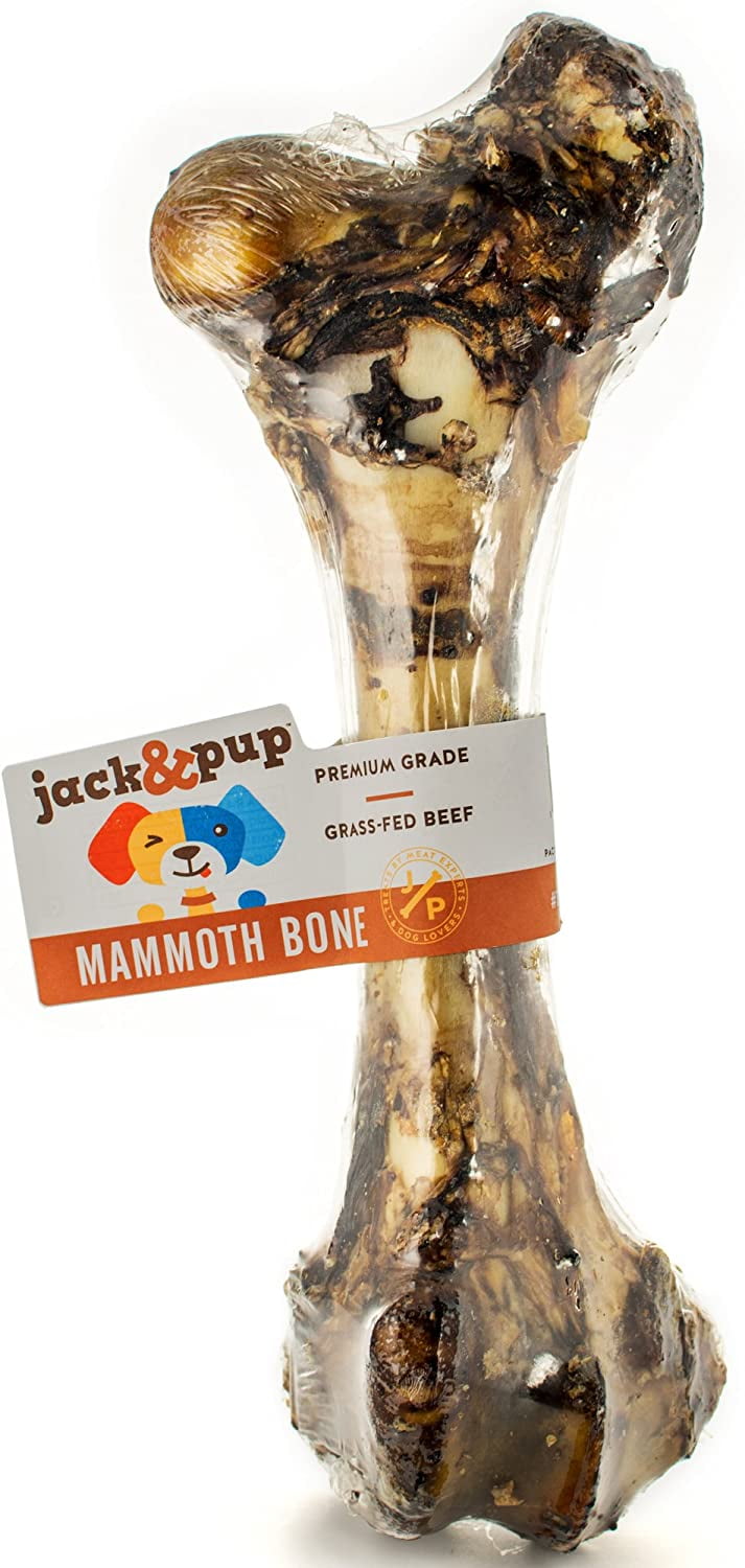 Jack and pup marrow bones cheap