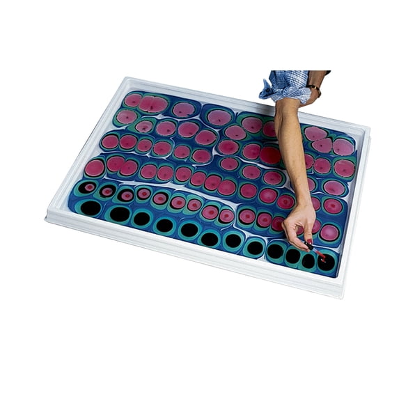 Jack Richeson Paper Soaking/Marbling Tray, 23 X 31 in, Styrene, High Gloss