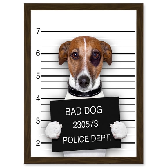 Jack Russell Bad Dog Mugshot Police Photo Artwork Framed Wall Art Print A4
