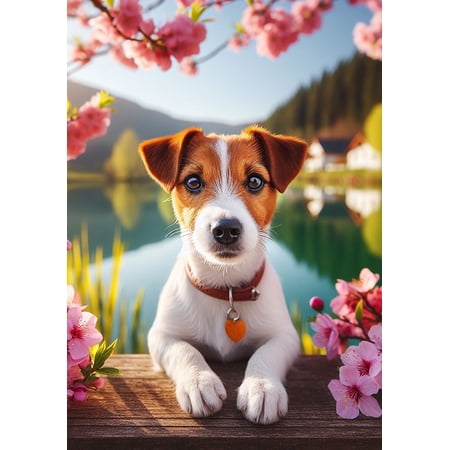 Jack Russell - Best of Breed DCR Spring House Flag