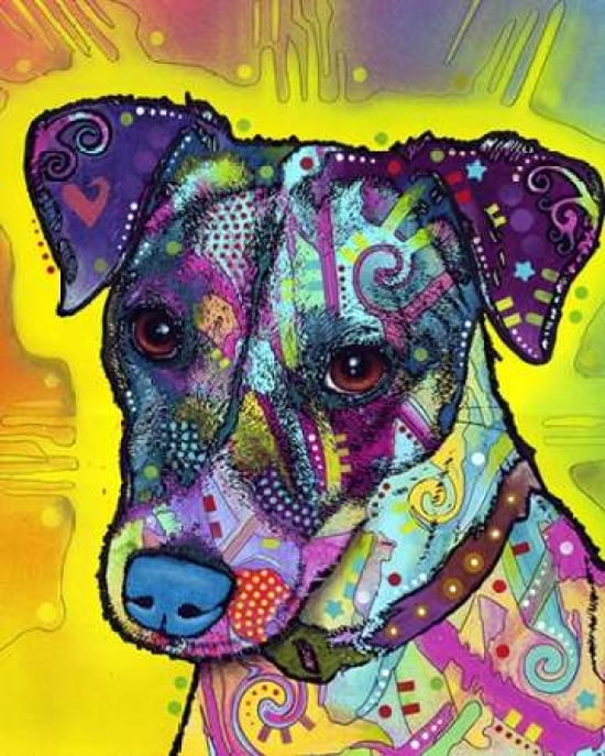 Jack Russell Canvas Art - Dean Russo (24 x 30)