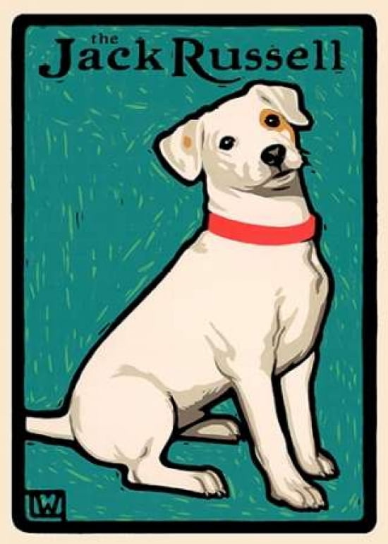 Jack Russell Canvas Art - Laura Wilder (20 x 28)